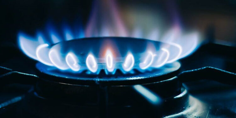 Procon realiza pesquisas de preços