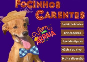 Arraia dos Focinhos Carentes