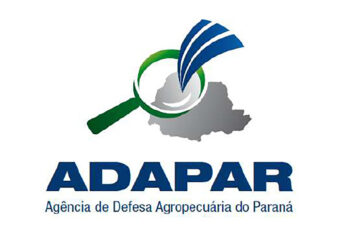 Litoral do Paraná registrou os primeiros casos de gripe aviária