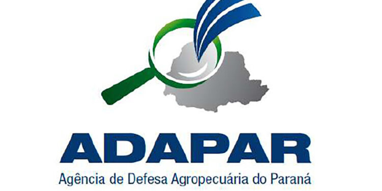 Litoral do Paraná registrou os primeiros casos de gripe aviária