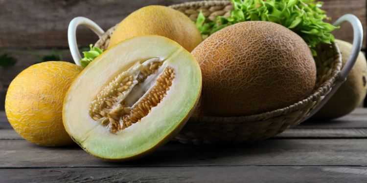 Manga e melão são destaques nas projeções das frutas para os próximos dez anos