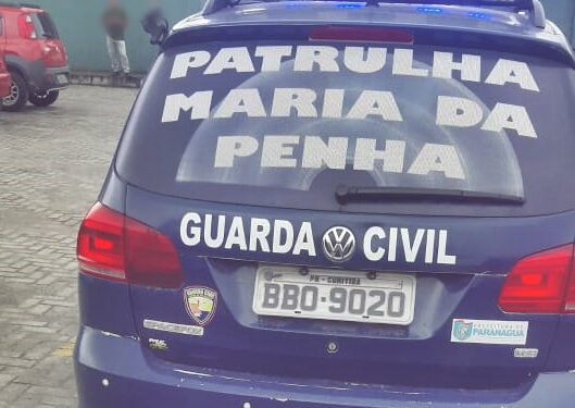 A Lei Maria da Penha e os Reflexos na Administração Pública: Avanços e Desafios no Combate à Violência Doméstica