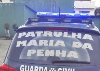 A Lei Maria da Penha e os Reflexos na Administração Pública: Avanços e Desafios no Combate à Violência Doméstica
