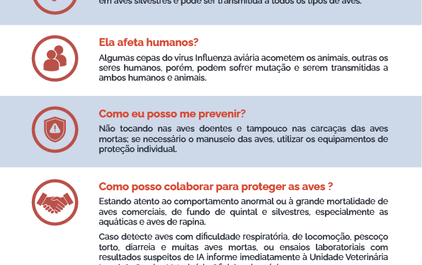 Gripe Aviária, entrevista com o Agente da Adapar