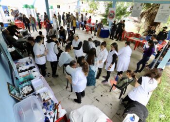 Porto em Ação presta mais de 200 atendimentos na comunidade do Amparo