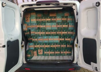 Em operação “10 de agosto”, Polícia Militar apreende mais de 15 toneladas de drogas em todo estado