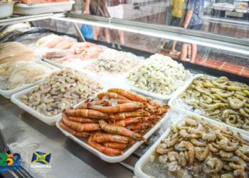 20.ª edição da ‘Semana do Pescado’ acontece em Guaratuba