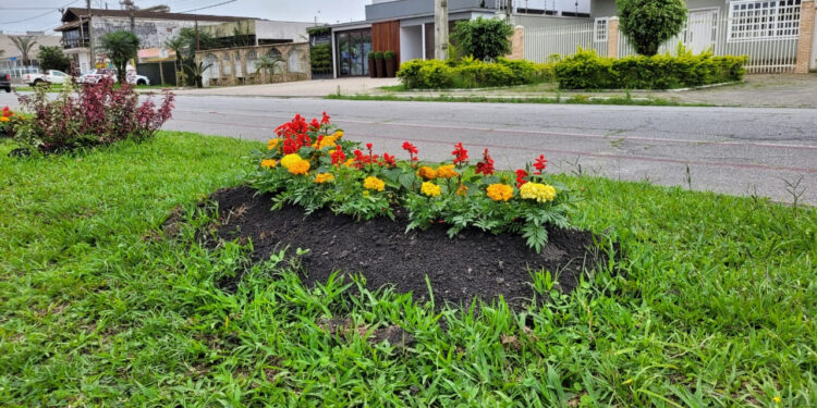 Paranaguá mais colorida e arborizada
