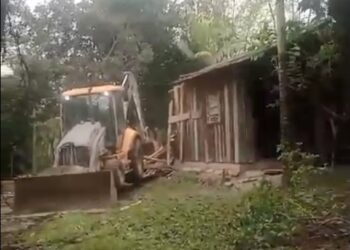 PF, PRF, IBAMA, GM, MPF E MPE deflagram operação visando preservar manguezais em Paranaguá/PR