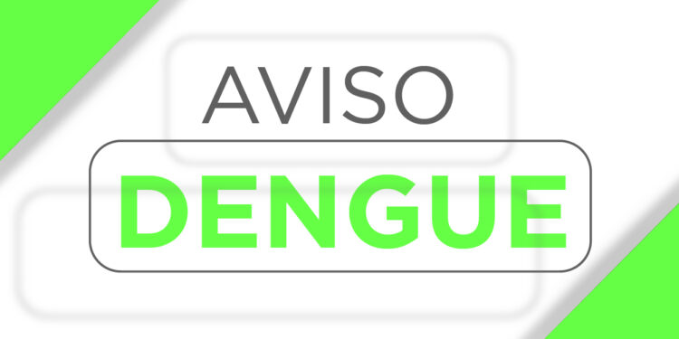 Com 174 novas confirmações, Paraná ultrapassa mil casos de dengue em dois meses