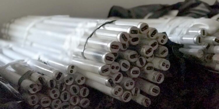 Municípios devem indicar pontos para coleta de lâmpadas fluorescentes até o final do mês