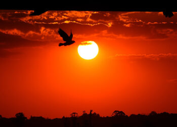 Com El Niño, primavera será quente e chuvosa no Paraná, prevê Simepar