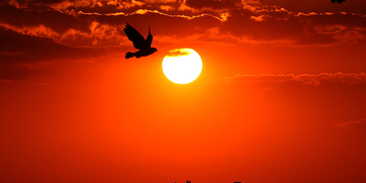 Com El Niño, primavera será quente e chuvosa no Paraná, prevê Simepar