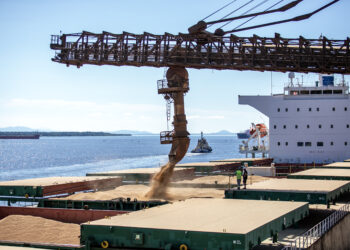 Complexo soja movimenta US$ 34 milhões por dia no Porto de Paranaguá