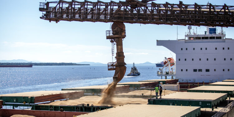 Complexo soja movimenta US$ 34 milhões por dia no Porto de Paranaguá