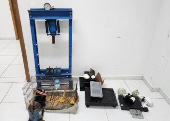 Divulgação: Policia Militar do Paraná