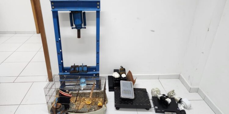 Divulgação: Policia Militar do Paraná