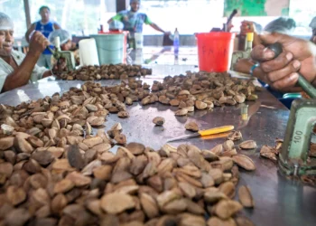 Foto: Lilo Clareto/ ISA/ Direitos Reservados