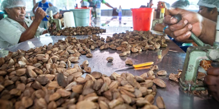 Foto: Lilo Clareto/ ISA/ Direitos Reservados