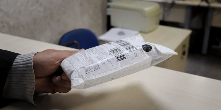 Foto: Gabriely Smek/SEFA