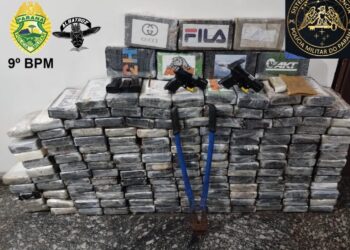 Foto: Divulgação/ Polícia Militar do Paraná