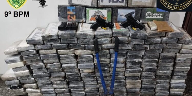 Foto: Divulgação/ Polícia Militar do Paraná