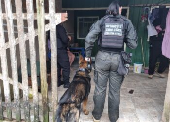 Foto: Cristiane Pansolin/ Polícia Civil do Paraná