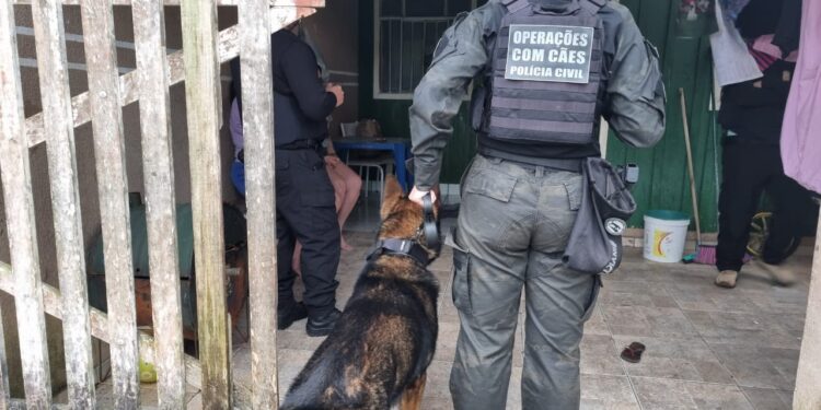 Foto: Cristiane Pansolin/ Polícia Civil do Paraná