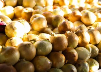 Foto: Valter Campanato/ Agência Brasil