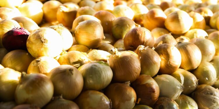 Foto: Valter Campanato/ Agência Brasil