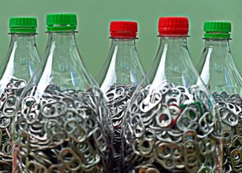 Foto: Denis Ferreira Netto/ Sedest