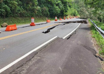 PR-170-PINHAO-FOTO-DER-PR