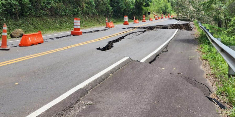 PR-170-PINHAO-FOTO-DER-PR