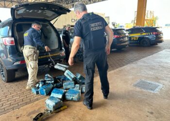 Foto: Reprodução/PRF