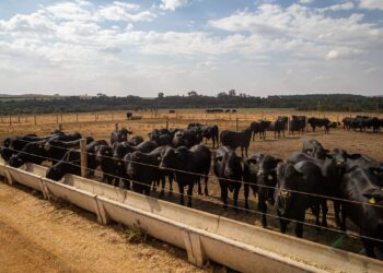 Foto: CNA/ Wenderson Araujo/ Trilux
