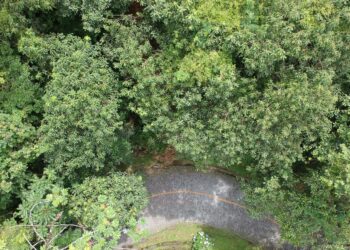 Foto: Reprodução/ DER-PR