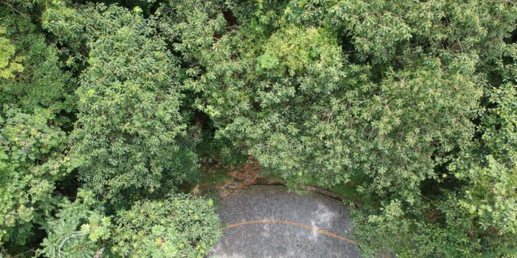 Foto: Reprodução/ DER-PR