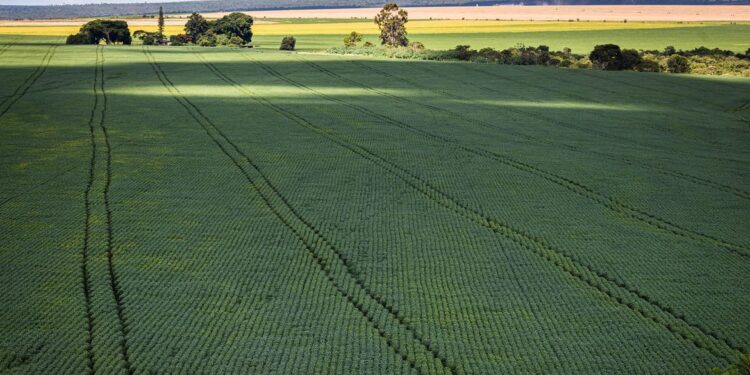 Foto: CNA/ Wenderson Araujo/ Trilux