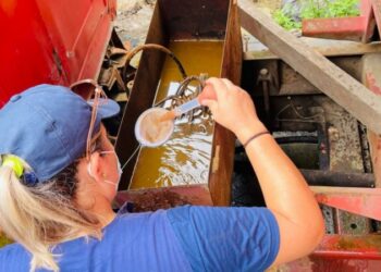 Foto: Divulgação/ Prefeitura de Paranaguá