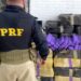 Imagem e Vídeo: PRF
