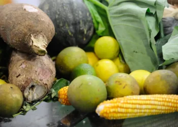 Foto: Fernando Frazão/Agência Brasil