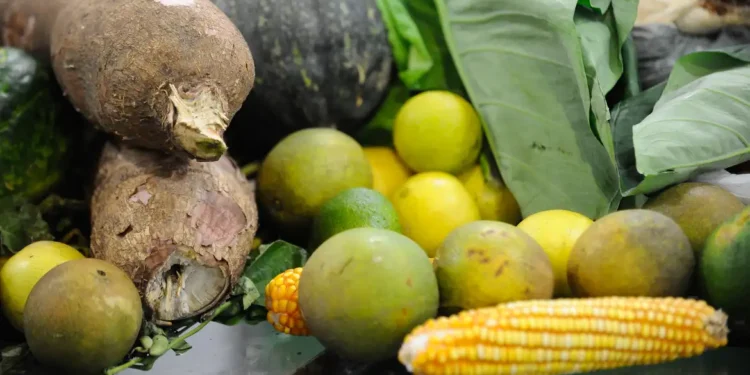 Foto: Fernando Frazão/Agência Brasil