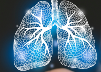 Foto: Rede - TB https://redetb.org.br/