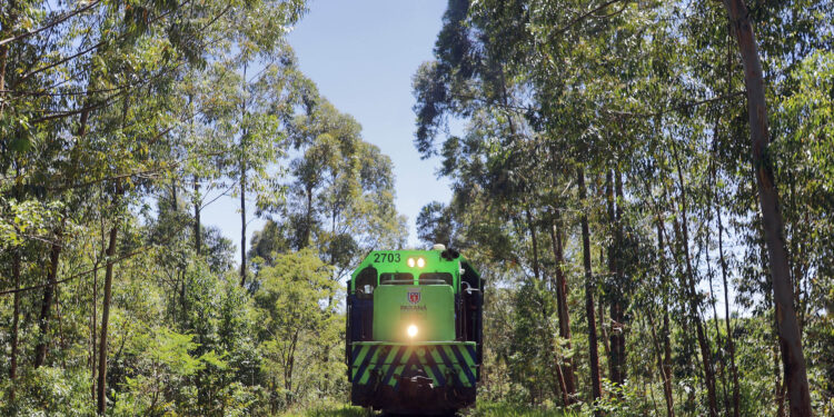 Avanços no licenciamento ambiental e rodadas internacionais marcam ano da Nova Ferroeste