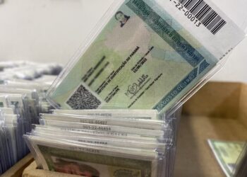 Foto: Beatriz Jarzinski / PCPR