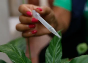 Foto: Fernando Frazão/Agência Brasil