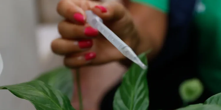 Foto: Fernando Frazão/Agência Brasil