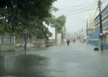 Foto: Roberto Dziura Jr/AEN