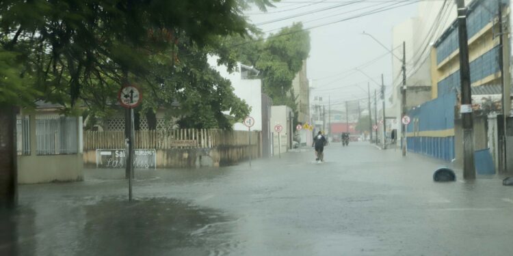 Foto: Roberto Dziura Jr/AEN