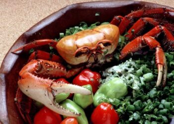 Imagem: Prefeitura de Matinhos